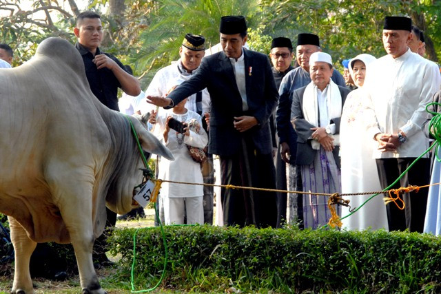 Presiden Ingatkan Iduladha Momentum Berbagi
