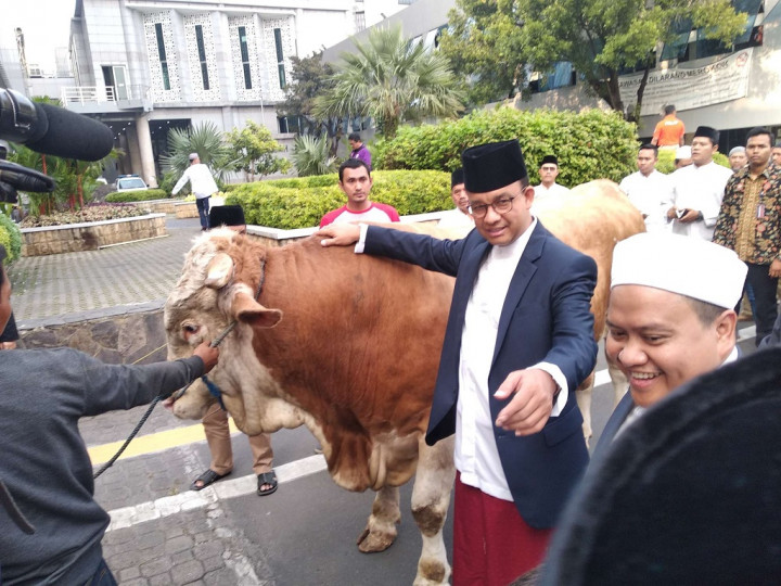 Anies Keliling Pantau Pemotongan Hewan Kurban
