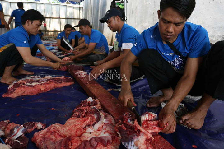 Media Group Potong 13 Sapi dan 18 Kambing