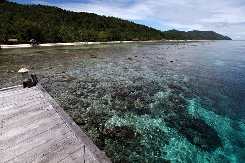 Pulau Kecil. MI/PANCA SYURKANI.