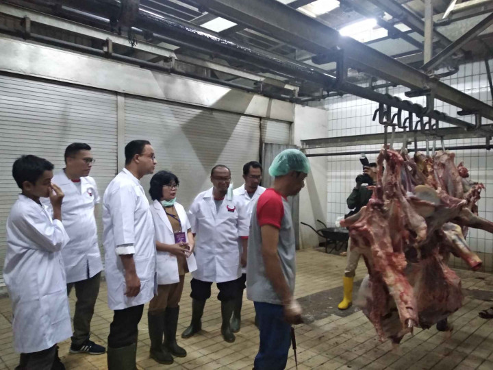 Puluhan Hewan Kurban Dekat Venue Disembelih di RPH