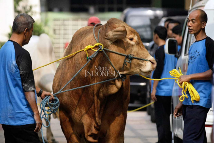 Jokowi Serahkan Hewan Kurban kepada PP Muhammadiyah