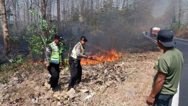 Lima Kebakaran Hutan Landa Jombang selama Kemarau