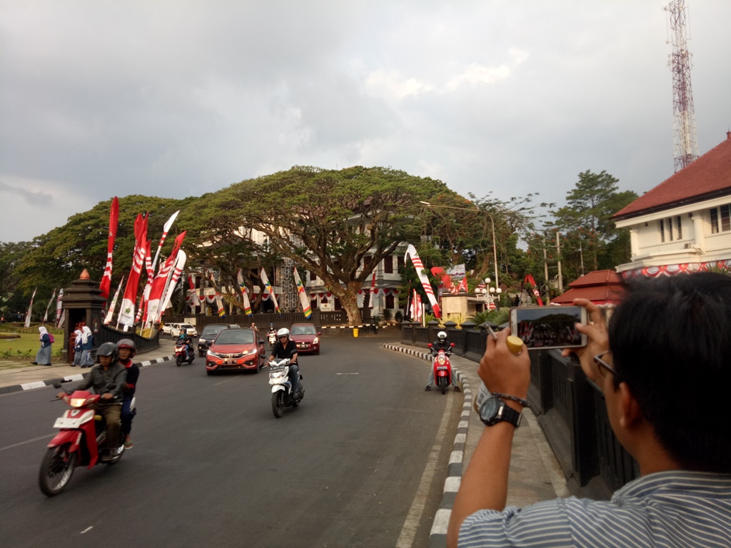 Pohon-pohon berusia ratusan tahun di Kota Malang.