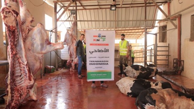 Ribuan Hewan Kurban Indonesia Dikirim ke Palestina