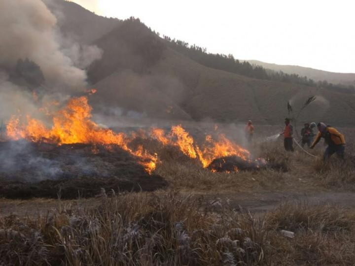 Warga Diduga Jadi Dalang Kebakaran Kawasan Gunung Bromo