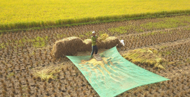 Pengelolaan Anggaran Kementan Dipersoalkan
