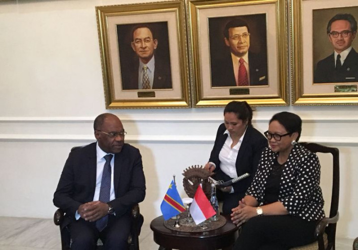 Membuka Peluang Pasar Kelapa Sawit Indonesia di Kongo