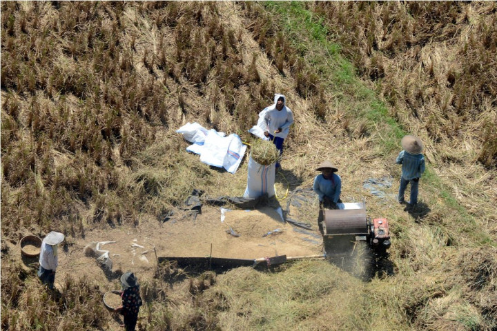 ICW Ingatkan Kementan Waspada soal Pengadaan Barang