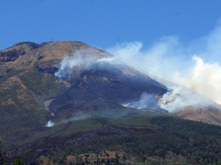 Akibat Kebakaran Hutan, Jalur Pendakian Gunung Sindoro Ditutup