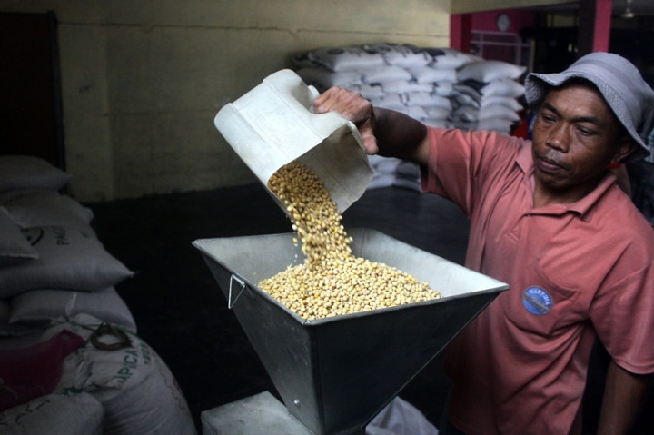 Harga Global Kedelai Turun walau Dolar AS Merangkak