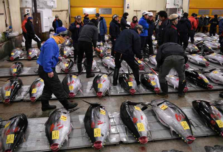 Pasar Ikan Legendaris di Tokyo akan Ditutup