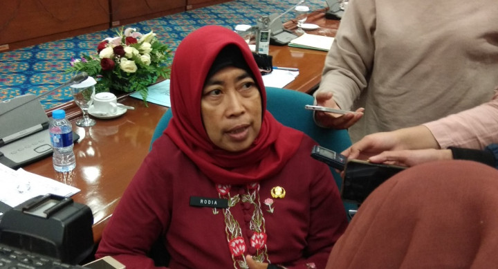 Naturalisasi Sungai di Jakarta belum Sentuh Kota Penyangga