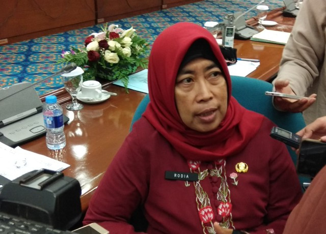 Butuh 30 Tahun Ciliwung Bisa seperti Sungai di Korsel