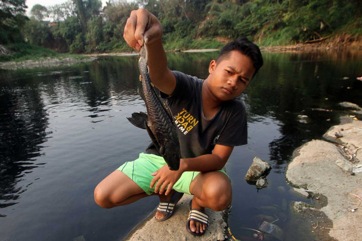 Sungai Cileungsi Tercemar Limbah Berbahaya