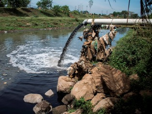 Menteri LHK Diminta Tindak Tegas Oknum PPNS Nakal