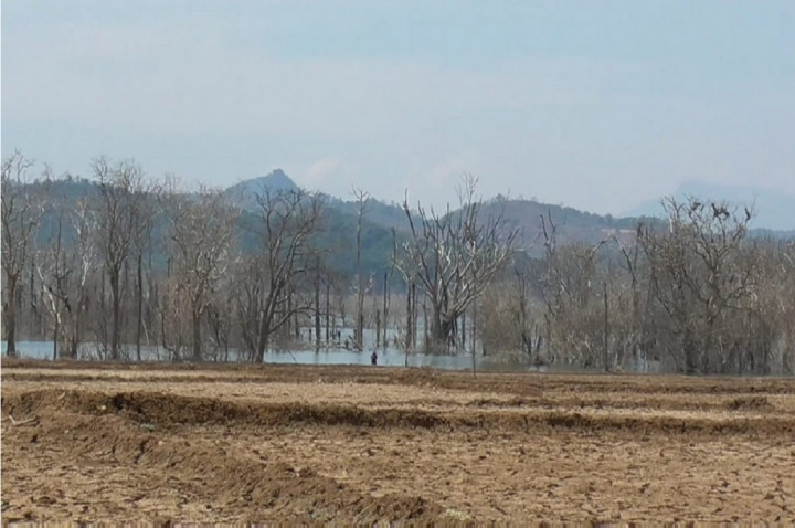 Desa yang Tergenang Waduk Jatigede Muncul Kembali