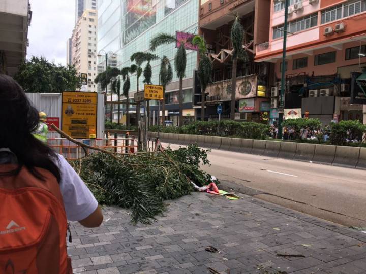 Usai Diterjang Topan Mangkhut, Hong Kong Lakukan Pembersihan Besar-besaran