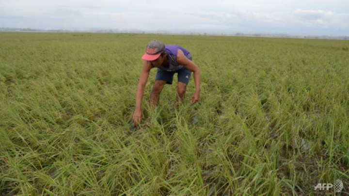 Petani Filipina Pertaruhkan Nyawa di Tengah Badai Mangkhut