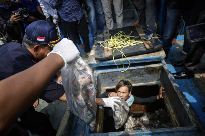 Polisi Tangkap Dua Kapal Nelayan Ilegal Vietnam