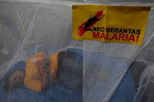 Beda Malaria dan DBD