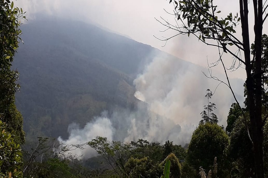 Lahan di Gunung Ciremai Terbakar 100 Hektare