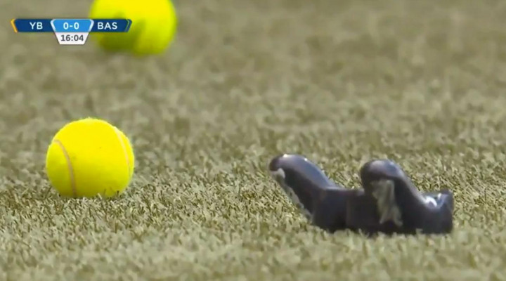 Suporter Sepak Bola Lempar Swiss DualShock PS4 ke Lapangan?