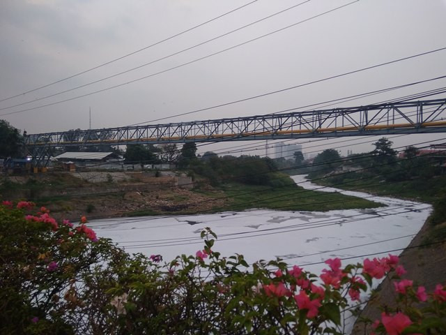 Pencemaran Kali Bekasi Diduga dari Limbah Kali Cileungsi