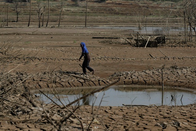 Petani Minta Pemerintah Cek Kondisi Paceklik