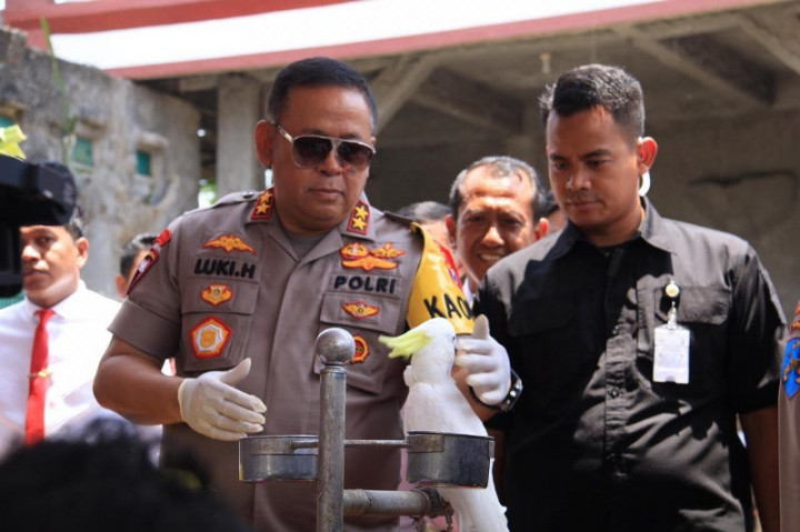 Polisi Tangkap Nenek Peternak Satwa yang Dilindungi