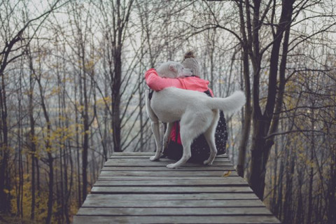 Jika anjing Anda mengikuti Anda ini merupakan tanda yang baik.