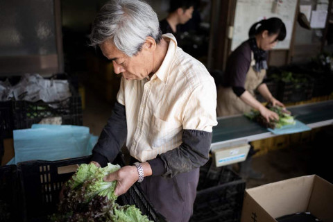 Jepang Serius Buka Lowongan untuk Tenaga Kerja Asing