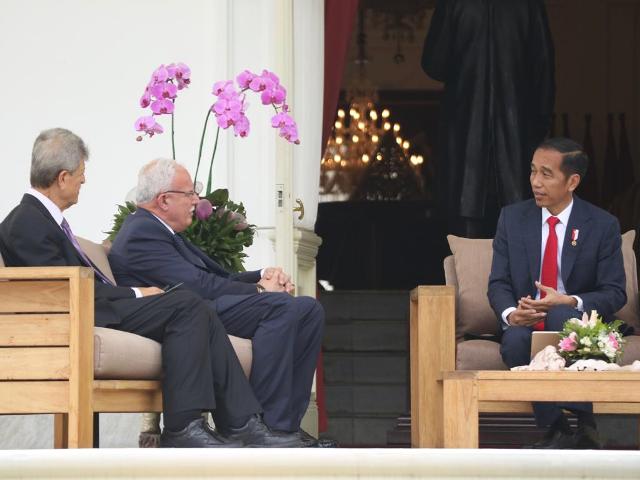 Palestina Berharap dari Posisi Indonesia di DK PBB