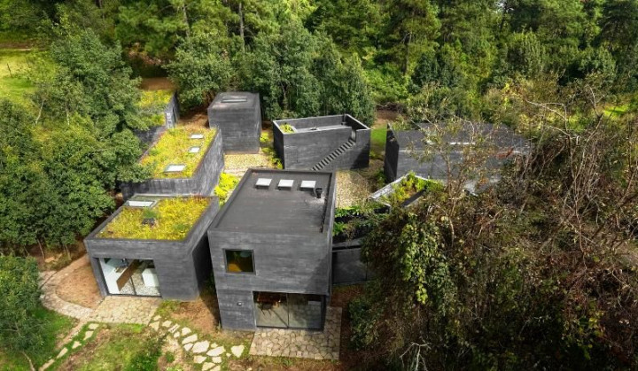 Kubus Hitam di Tengah Hutan