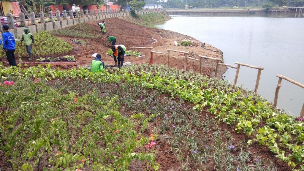 Naturalisasi Waduk Setu Babakan di Kelurahan Srengseng Sawah, Kecamatan Jagakarsa, Jakarta Selatan. Foto: Medcom.id/Fachri Audhia Hafiez.