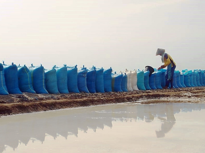 Produksi Garam di Probolinggo Melimpah