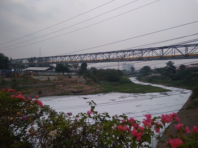 60% Air Kali Bekasi Tercemar Limbah Domestik