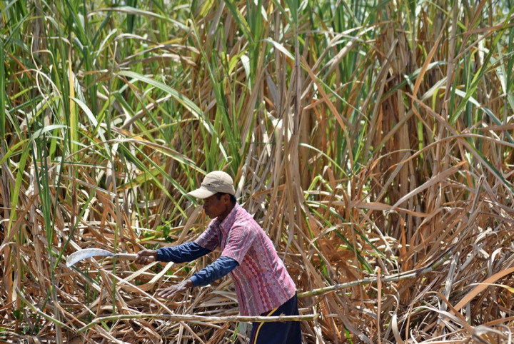 Masyarakat Adat di Lampung Tuntut Hak Ulayat