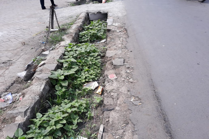 Selokan di Tangsel Jadi 'Pot' Tanaman Liar