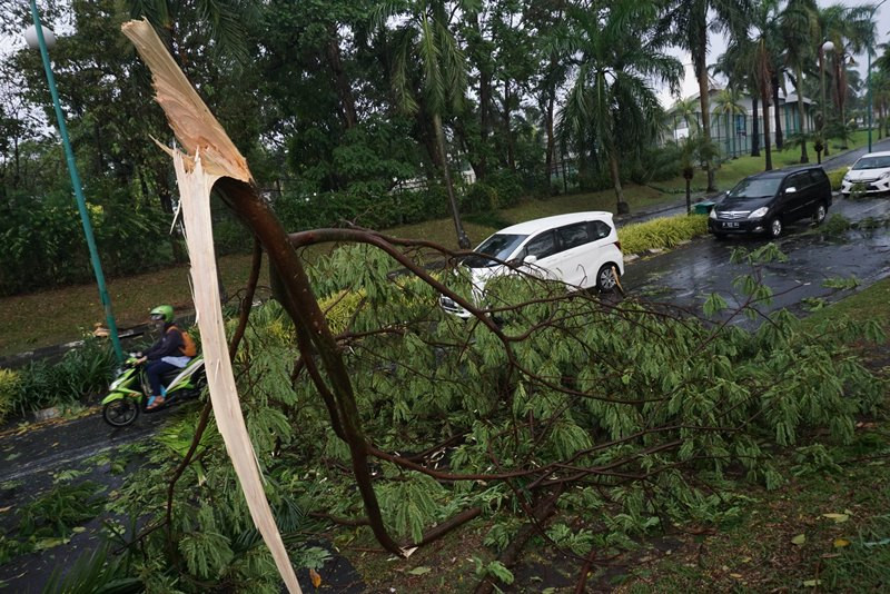 Ilustrasi Kendaraan melintas di dekat pohon yang tumbang, Tangerang, Banten, Minggu (26/6). Akibat hujan disertai angin kencang, sejumlah pohon di kawasan kota Tangerang tumbang dan menutup jalan. ANTARA FOTO/Lucky R.