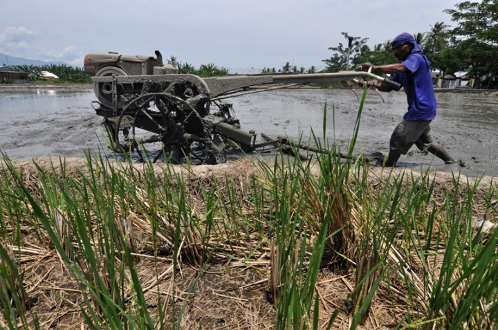 Gempa Bumi Tidak Ganggu Pertanian di Parigi