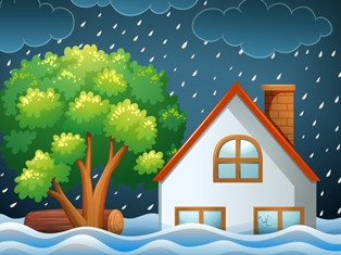 275 KK di Solok Terdampak Banjir