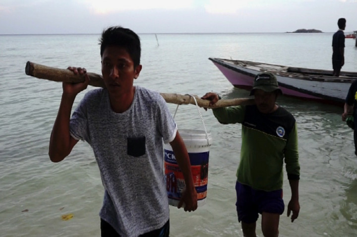 Melihat Penetasan Telur Penyu di Karimunjawa