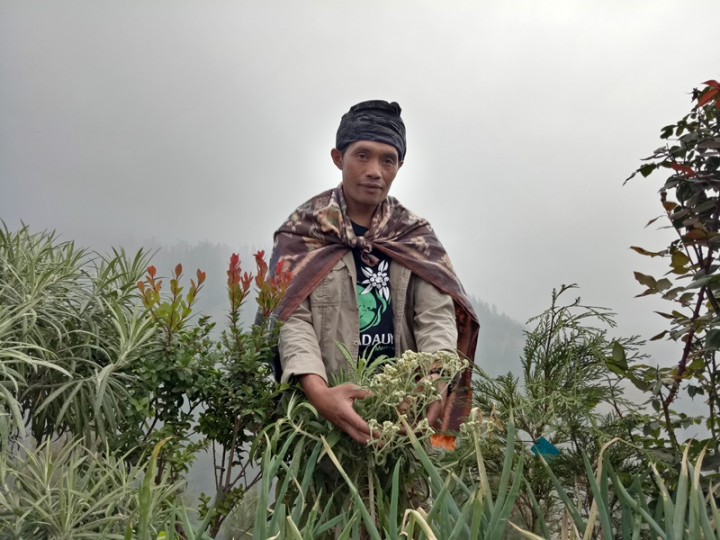 Dua Desa Jadi Role Model Budi Daya Edelweis