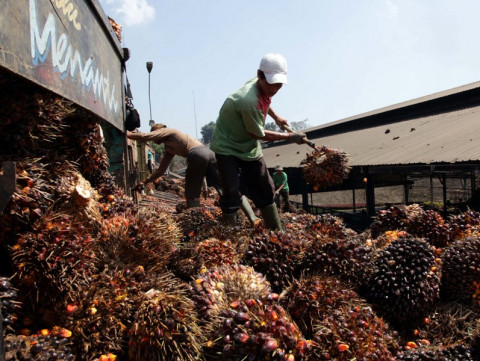 Indonesia-Malaysia Sepakat Lawan Kampanye Hitam CPO