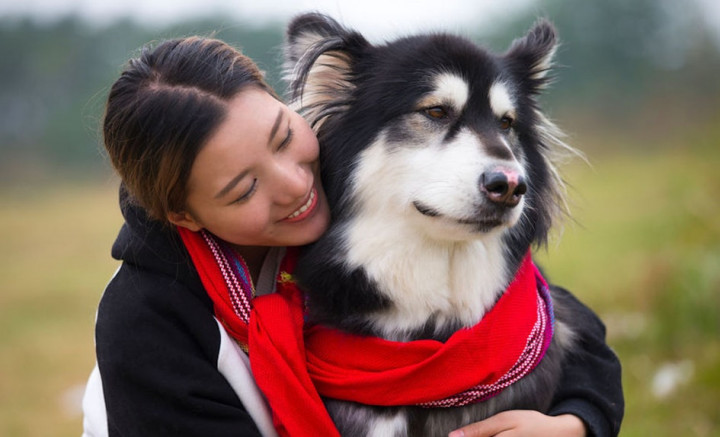 Empat Manfaat Tak Terduga Memelihara Hewan