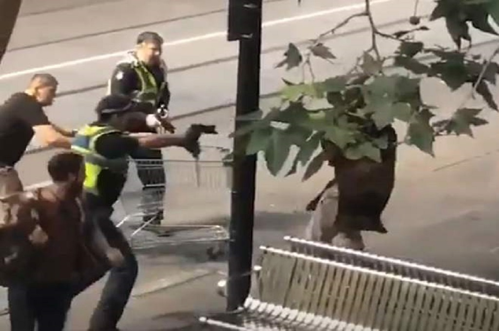 Michael Rogers (kiri) hendak menabrakkan troli ke arah pelaku teror di Melbourne, Australia, 9 November 2018. (Foto: Twitter/EPA)