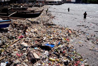 Nekropsi Ungkap Sampah Plastik Ancaman Utama Biota Laut