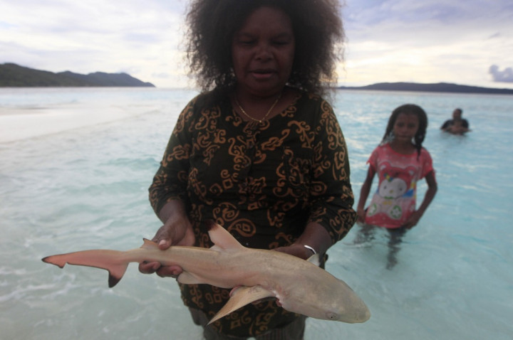 Sebelas Bangkai Hiu Ditemukan di Raja Ampat