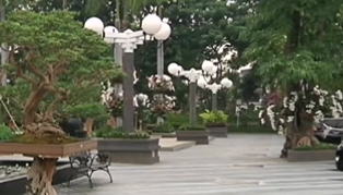 Surabaya Masuk Nominasi Kota Terindah di Dunia